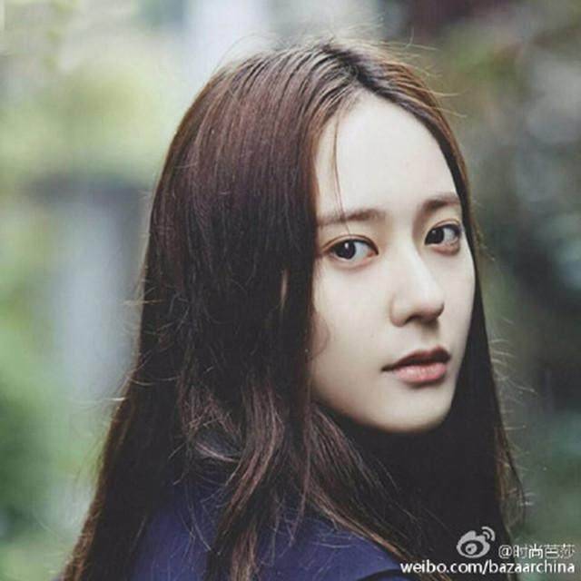 弹壳与玫瑰